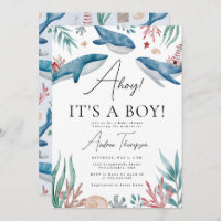 Ahoy, é uma baleia moça debaixo do Chá de fraldas 