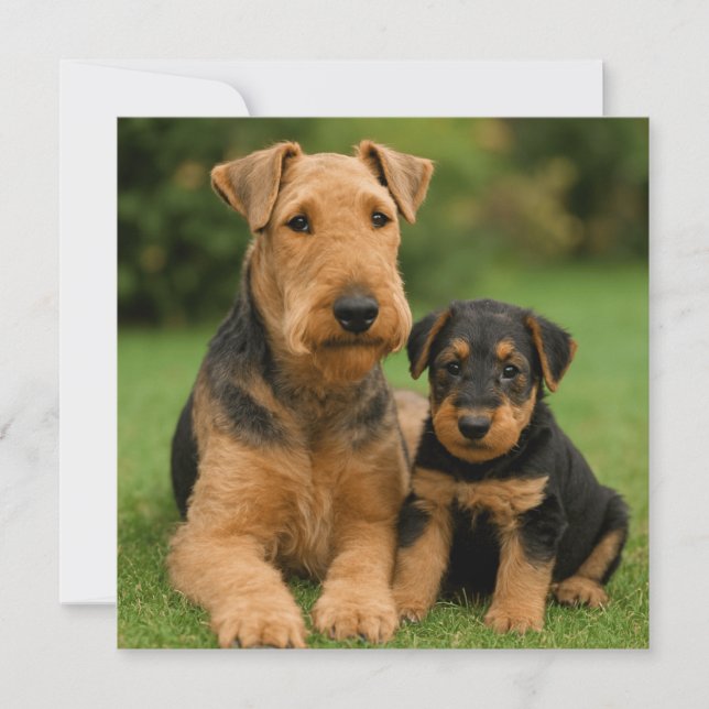 Convite Airedale Terrier Com Puppy (Frente)