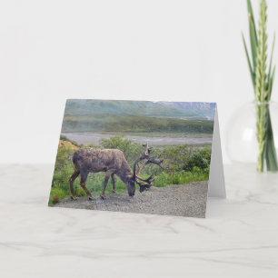 Convite Alasca - Caribe 1