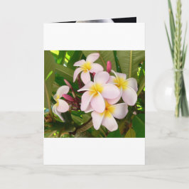 Convite Aloha Hawaiian Frangipani Blossoms Chá de panela