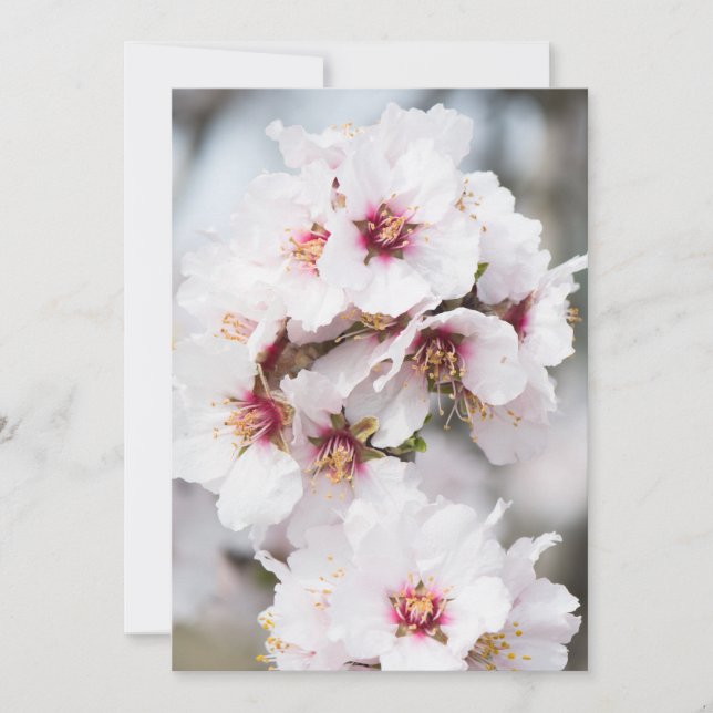 Convite Amêndoa florescendo (Frente)