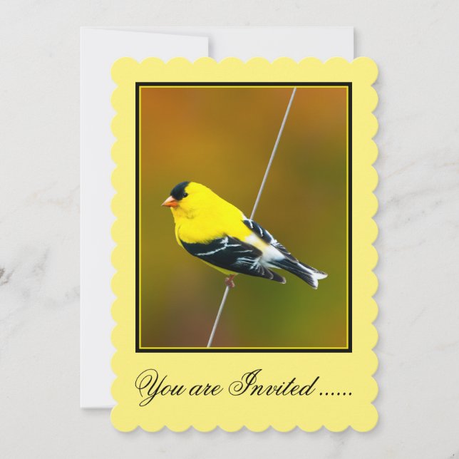 Convite American Goldfinch - Fotografia original (Frente)