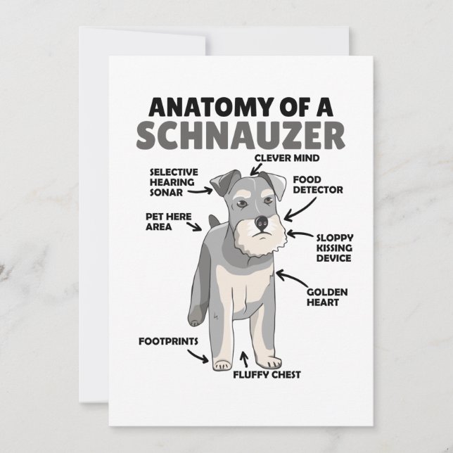 Convite Anatomia De Cachorro Cuto Schnauzer (Frente)