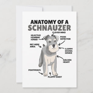 Convite Anatomia De Cachorro Cuto Schnauzer