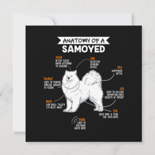 Convite Anatomia De Um Cachorro Samoyed