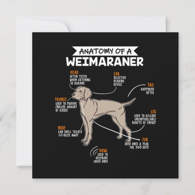 Convite Anatomia De Um Cachorro Weimaraner (Frente)