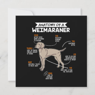 Convite Anatomia De Um Cachorro Weimaraner