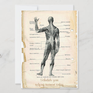Convite Anatomia posterior