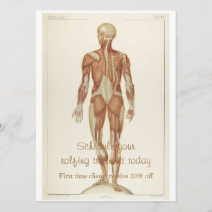 Convite Anatomia posterior