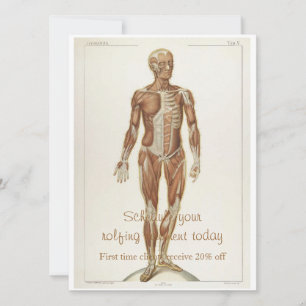 Convite Anatomia superior