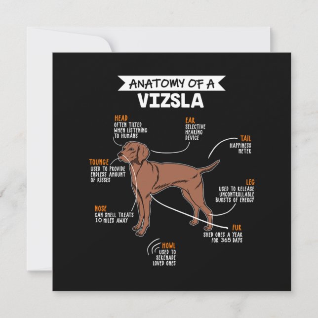 Convite Anatomy Of A Vizsla Dog (Frente)