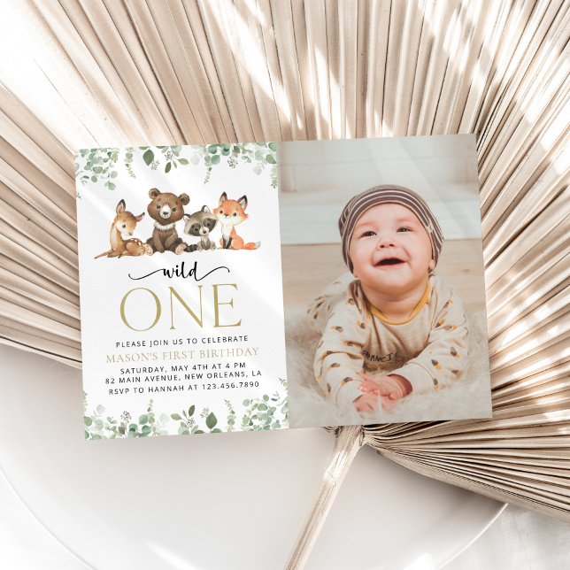 Convite Animais Da Floresta, Floresta, Selvagem Um, Primei (Criador carregado)