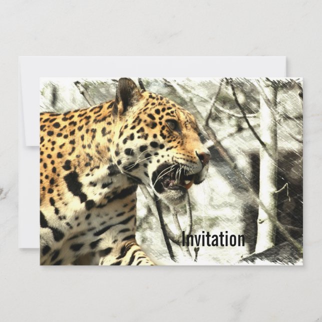 Convite animal selvagem da África (Frente)