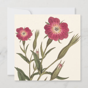 Convite Aniversário botânico do vintage para a senhora