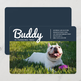 Convite Aniversário da Foto do Cão Pet Puppy Personaliza