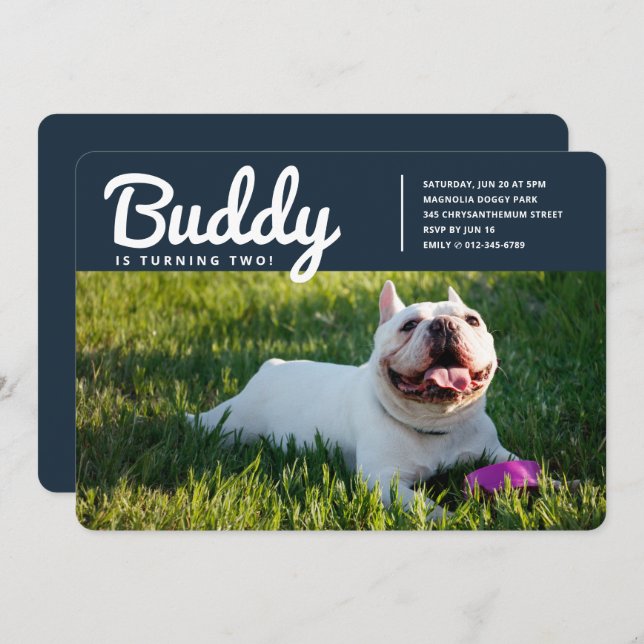 Convite Aniversário da Foto do Cão Pet Puppy Personalizado (Frente/Verso)