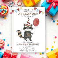 Aniversário de 1 ano do nosso bebê Guaxinim