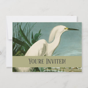 Convite Aniversário de Ave-de-Egrete Branca de Audubon Sno