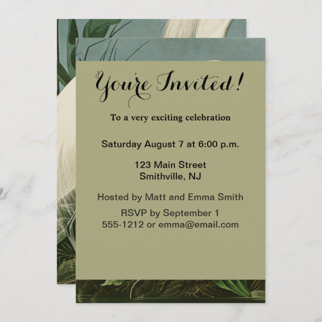 Convite Aniversário de Ave-de-Egrete Branca de Audubon Sno (Frente/Verso)