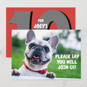 Convite Aniversário de cachorro bulldog francês fofo (qual