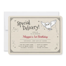 Aniversário de Entrega Especial da Hedwig do Harry