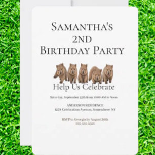 Convite Aniversário temático de wombat