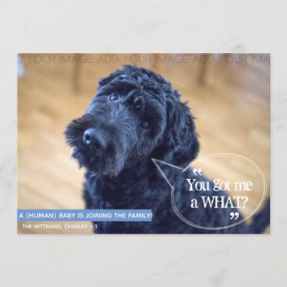 Convite Anunciamento de Gravidez Engraçado