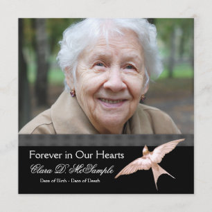 Convite Anúncios de Funeral com Foto de Pombo Preto Rosa p