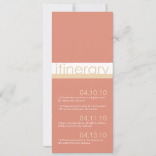 Convite Anúncios de Itinerário para Duas Noivas