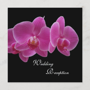 Convite Apenas para Recepção de Casamento -- Orquí
