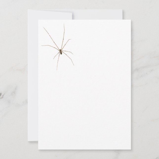 Convite Aranha (Frente)