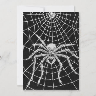 Convite Aranha antiga tecendo teia
