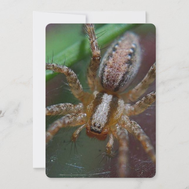 Convite Aranha enorme (Frente)