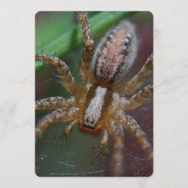 Convite Aranha enorme