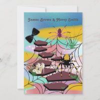 Aranhas Web Calçados Nobres Casamento de Gravação 