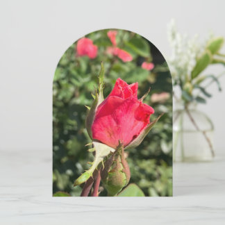 Convite Arco de jardim de rosebud, placa plana