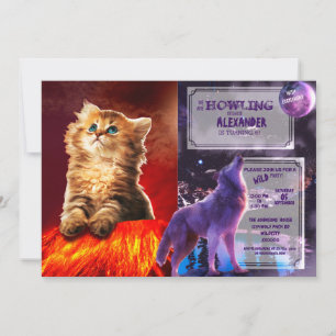 Convite Armageddon cat