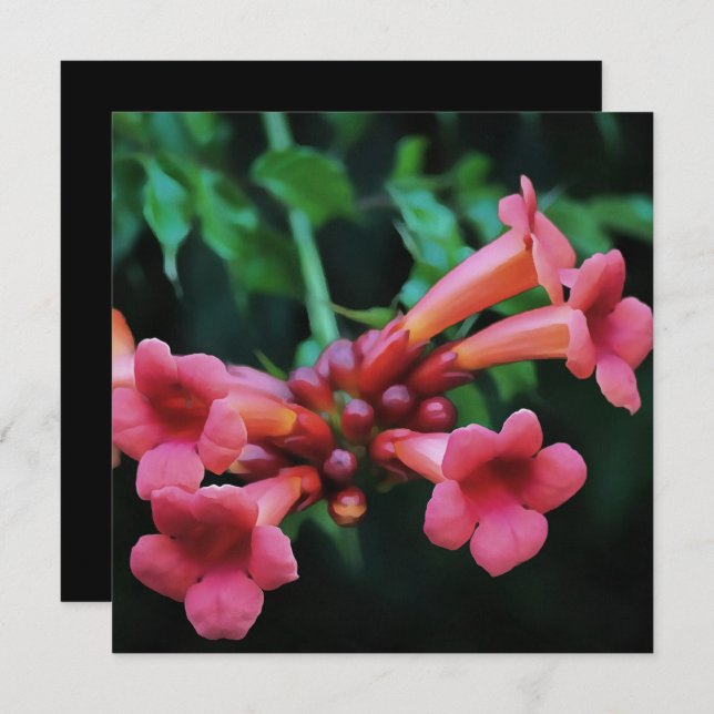 Convite Arte Botânica de Honeysuckle, Trompete Rosa (Frente/Verso)