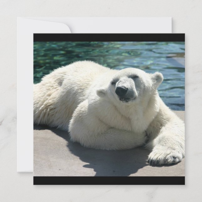Convite ártico do urso polar (Frente)