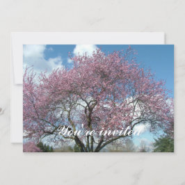 Convite árvore florida de cerejeira na primavera