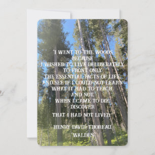 Convite Árvores Forest Thoreau