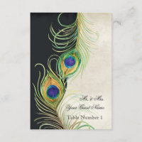 Audrey Jeanne Peacock Feather Black Damask