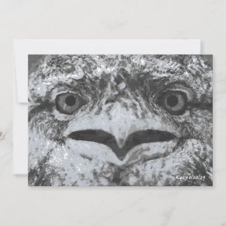 Convite Australian Wildlife, Nature's Curmudgeon, Animal