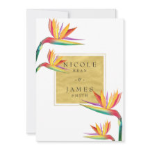 Ave do Paraíso Elegante Dourado Branco Casamento
