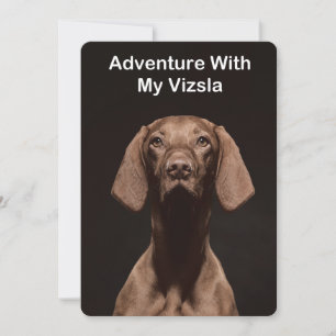 Convite Aventura Com O Meu Vizsla