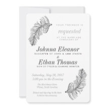 Aves cinzas de Casamentos de Penas