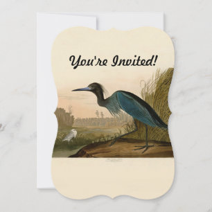 Convite Aves da América de Crane Azul de Audubon