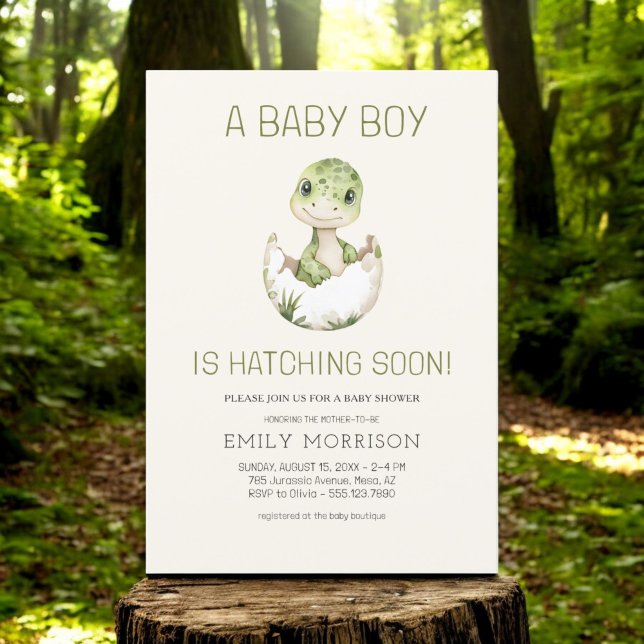 Convite Baby Boy Boho Dinossaur Hatching Sozinho Chá (Criador carregado)