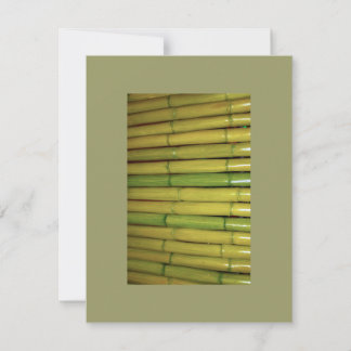 Convite Bambu Verde-Asiático Foto Botânica