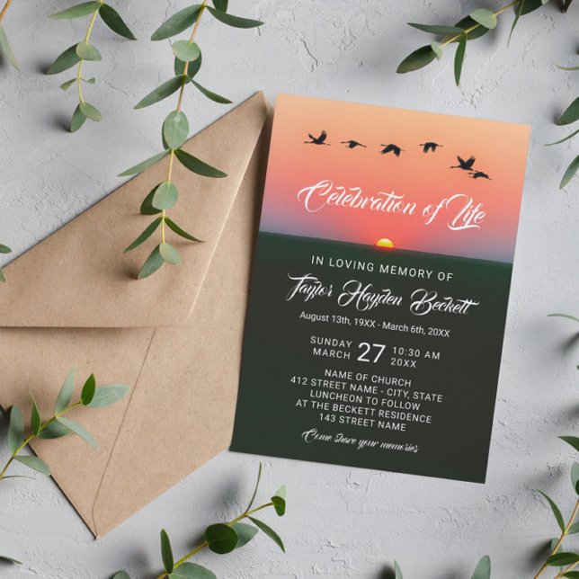 Convite Bando de Aves na Celebração da Vida ao Sol (Criador carregado)